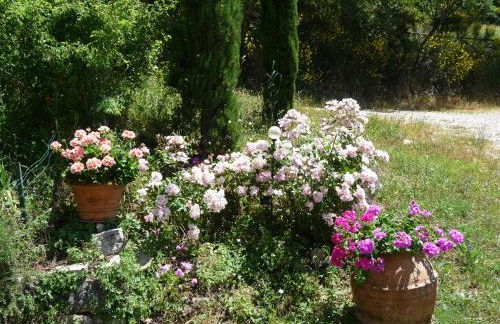 Podere Sant'Angelo - Foto 35