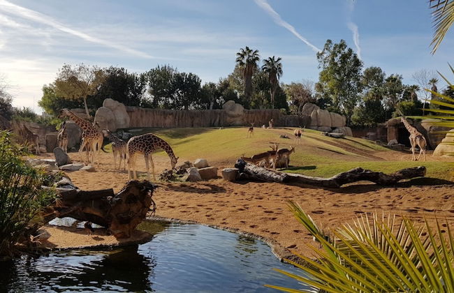 JL Ciudad de las Artes - Foto 59