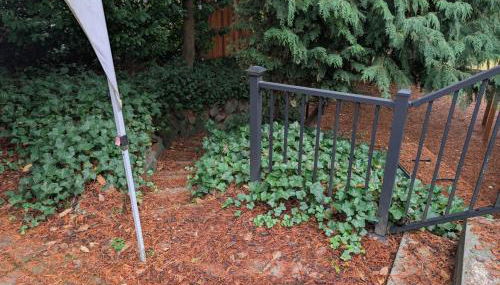 Entire ADU with hottub - Foto 3