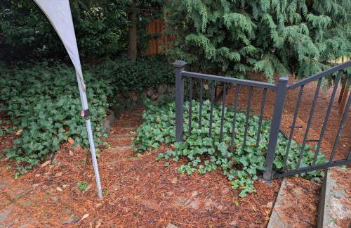 Entire ADU with hottub - Foto 3