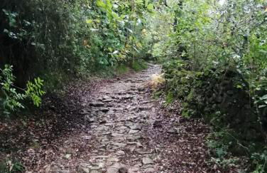 El Pico de Aroche - Foto 22