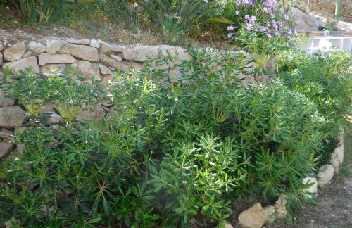 Case Vacanze Farchikalà - Foto 61