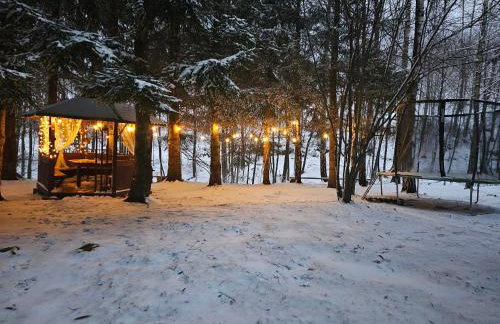 Nad Potokiem z Alpakami - Foto 31