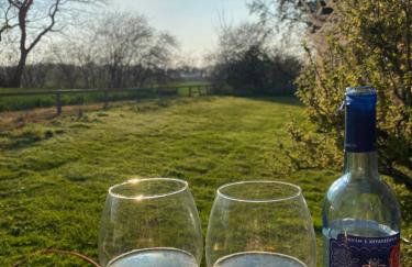 Reetdachkate am Feldrand mit grandiosem Weitblick - Foto 34