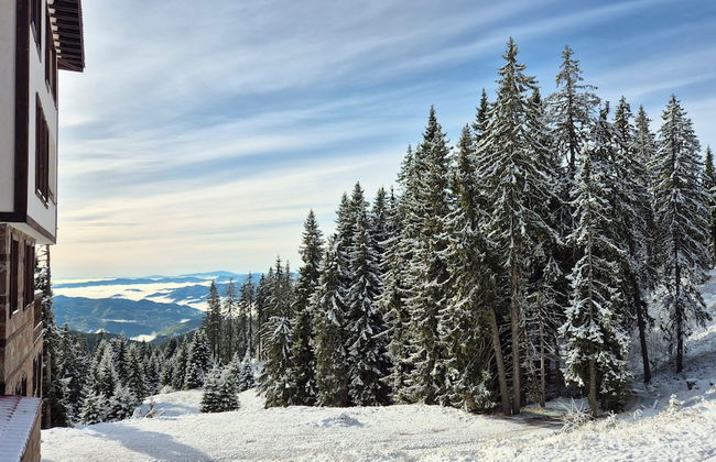 Tulip Apartment High-end, Grand Resort Pamporovo - Foto 26