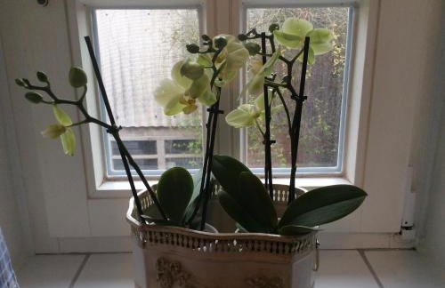 Ferienwohnung Haumannshof - Foto 7