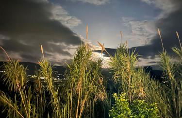 Douro Wellspring - Foto 40