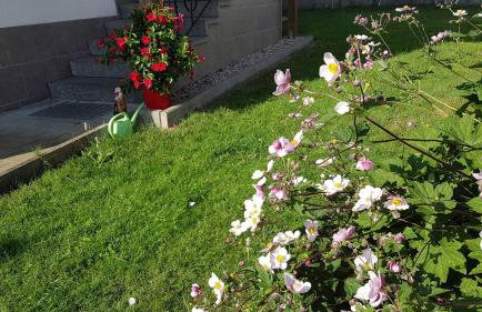 Ferienwohnung Schwarz - Foto 11