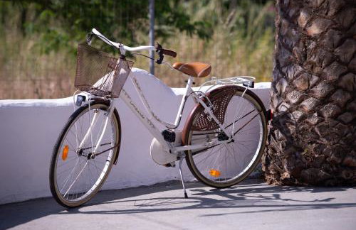 Acapus Studios - Foto 32