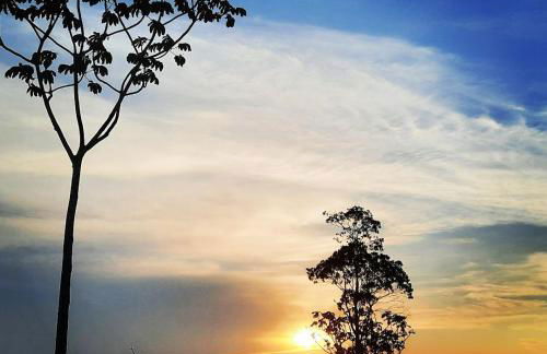 Chalé Colina - Foto 66