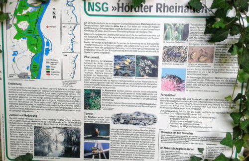 70qm Wohnung, 76771 Hördt, Naturschutzgebiet, Rheinland-Pfalz - Foto 16