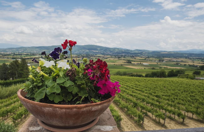 Agriturismo Chiorri - Foto 1