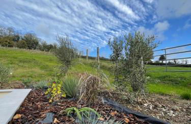 Domaine de la Vacquerie - Foto 13