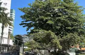 Apartamento inteiro Barra Ondina - Foto 20