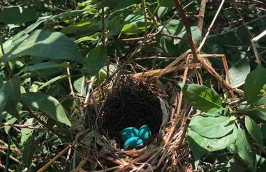 HoneyBee Homes - Foto 40