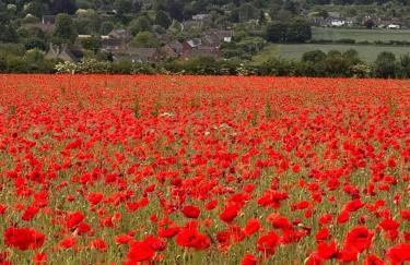 The Old Cheese Press, Eckington - Foto 53