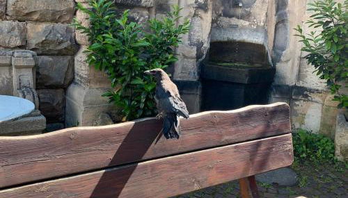 Ferienzimmer Tübingen - Foto 4