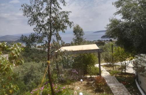 Πέτρα, Ελιά και Λεβάντα - Foto 54