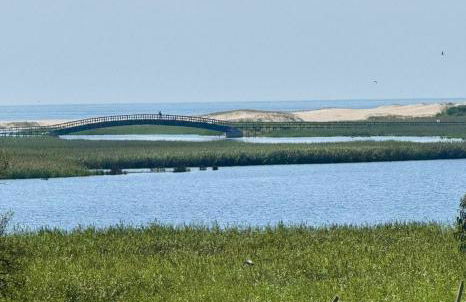 200M - Train Station Barrinha Beach House & Pool - Foto 17