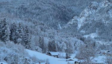 Ferienwohnung Bergidyll - Foto 5