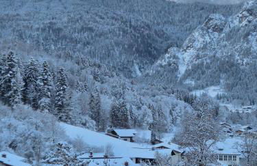 Ferienwohnung Bergidyll - Foto 5