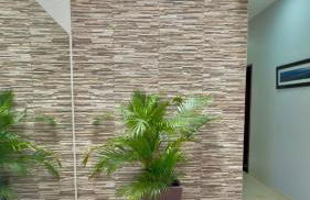 VIP eventos - Foto 9