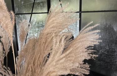 Między Brzozami - Foto 37