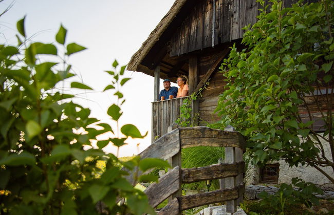 Vineyard Cottage Škatlar 1 - Foto 18