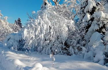 Wellnessoase mit Sauna und Whirlpool - Foto 43