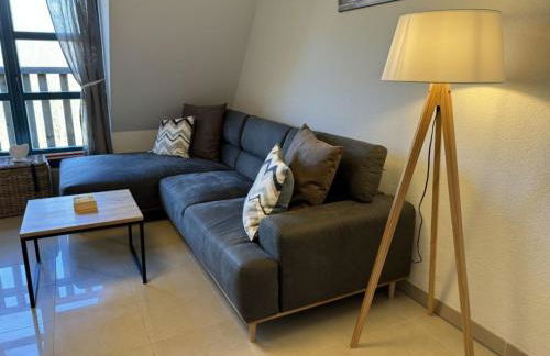 MP 7 Backbord - Foto 2