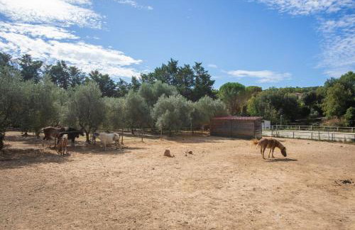 Gite Aux Écuries du Mas di Gau - Foto 29