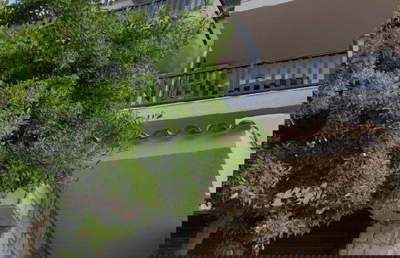 Arellis Studios - Foto 44