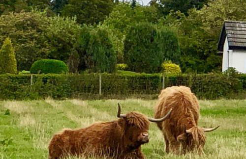 Highland Lodge - Foto 33