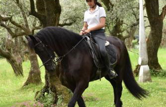 Antico Uliveto - Foto 29