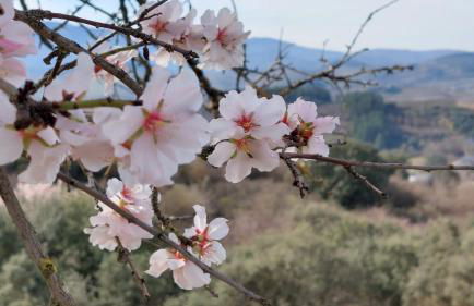 Casa Rural Maria - Photo 54