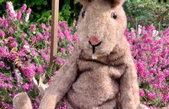 Ferienhaus unter Reet im Heidedorf Sankt Dionys bei Lüneburg - Foto 29