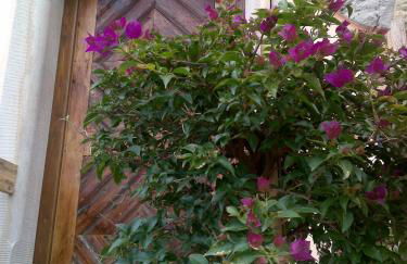 Romantische Ferienwohnung GERICHTSSTUBE im Rittergut Leppersdorf bei Radeberg für 6 Pers - Foto 25