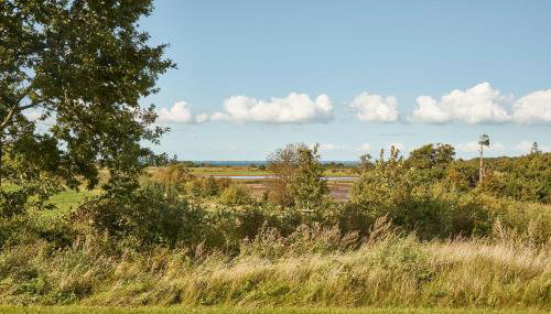 Reetdorf Geltinger Birk Atelierhaus Regenbogen - Foto 4