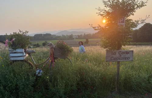 A casa di Sophi Lago Maggiore Private outdoor Sauna - Foto 22
