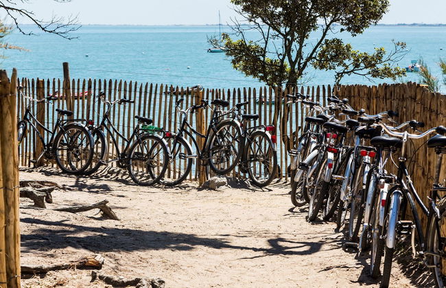 Odalys Collection Le Domaine des Pins - Foto 27