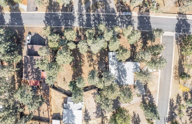 Pete's Place - Foto 60