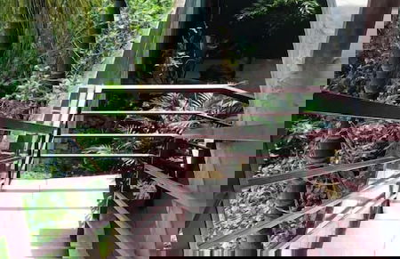 Villa Pleiku Pho - Foto 18