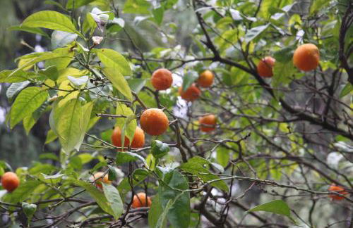 Stunning unobstructed 180 degree sea view apartment with 100 square meters terrace - Costa del Sol - Estepona- Long Term - Photo 34
