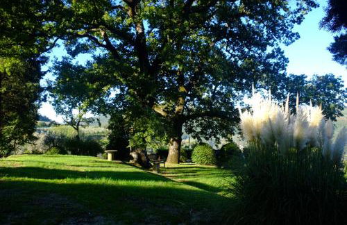 Agriturismo Il Ponticello - Foto 5