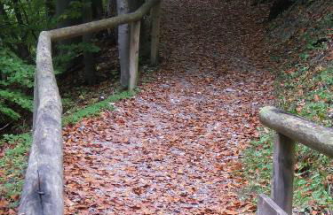 Malerhaus am Kolbergarten - Foto 36