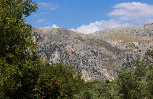 Cortijo el Chaparro - Foto 36