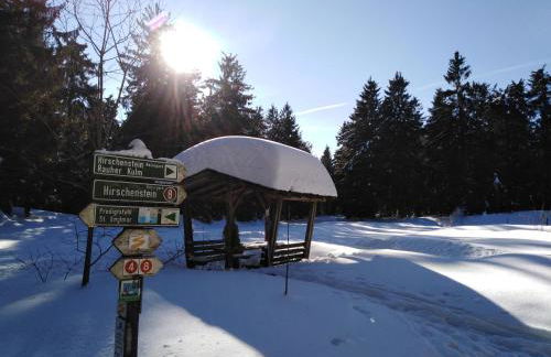 Berghof Studio Haus Rachel mit Pool - Foto 15