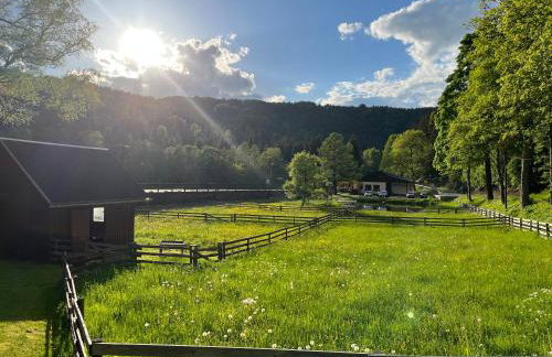 Ferienwohnung Schmalzgrube - Foto 6