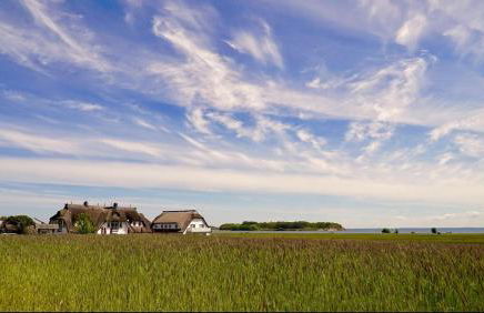 Taun Hövt - Foto 34