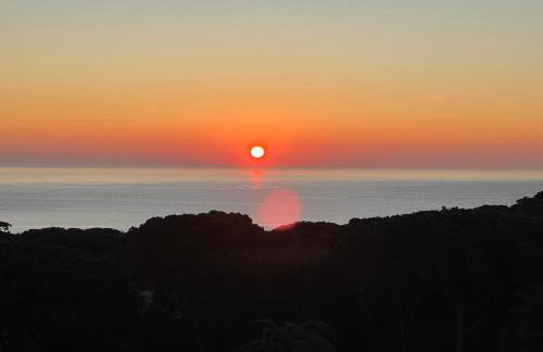 Blue Horizon - Foto 52